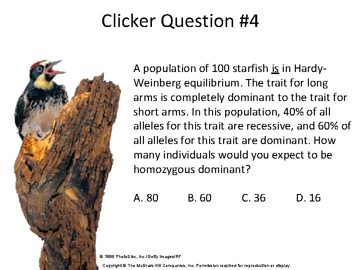 Clicker Question #4 A population of 100 starfish is in Hardy. Weinberg equilibrium. The