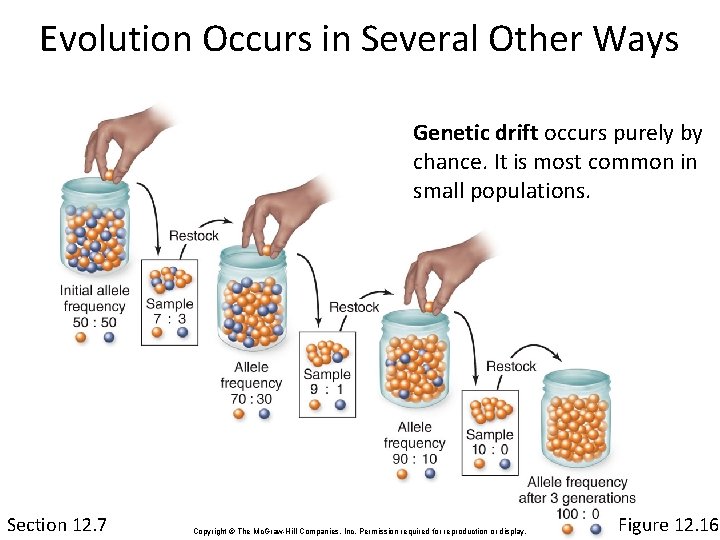 Evolution Occurs in Several Other Ways Genetic drift occurs purely by chance. It is