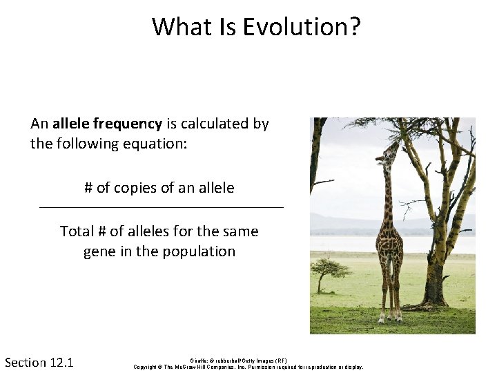 What Is Evolution? An allele frequency is calculated by the following equation: # of