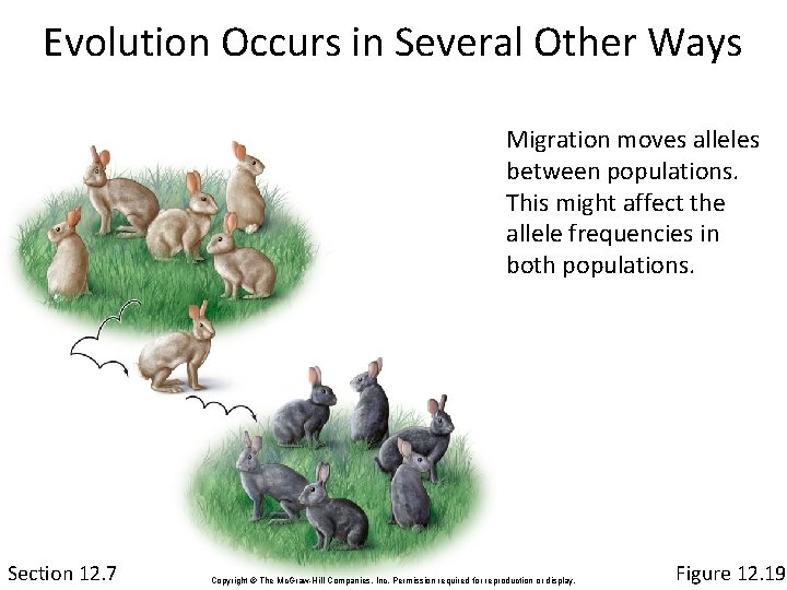 Evolution Occurs in Several Other Ways Migration moves alleles between populations. This might affect