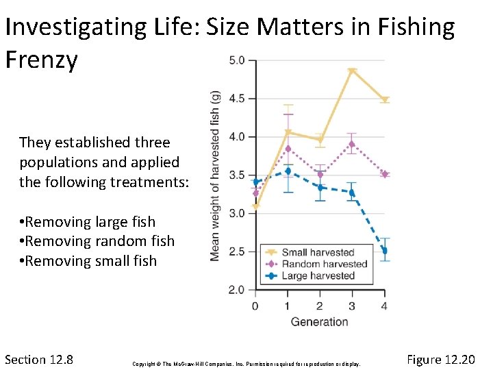 Investigating Life: Size Matters in Fishing Frenzy They established three populations and applied the