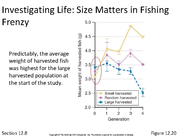 Investigating Life: Size Matters in Fishing Frenzy Predictably, the average weight of harvested fish