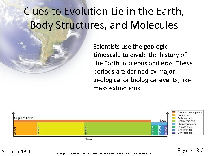 Clues to Evolution Lie in the Earth, Body Structures, and Molecules Scientists use the