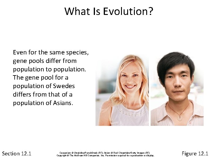 What Is Evolution? Even for the same species, gene pools differ from population to