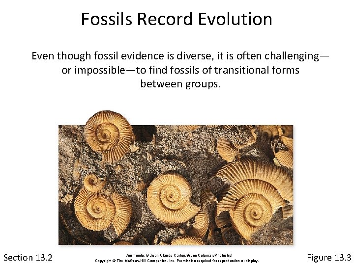 Fossils Record Evolution Even though fossil evidence is diverse, it is often challenging— or