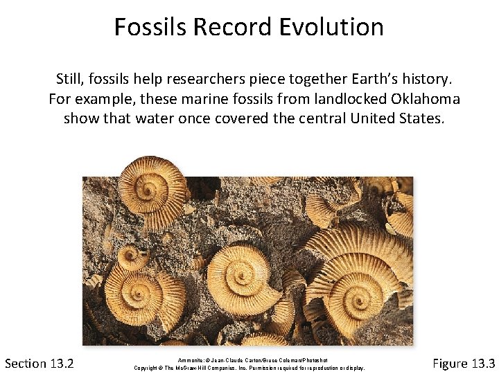 Fossils Record Evolution Still, fossils help researchers piece together Earth’s history. For example, these