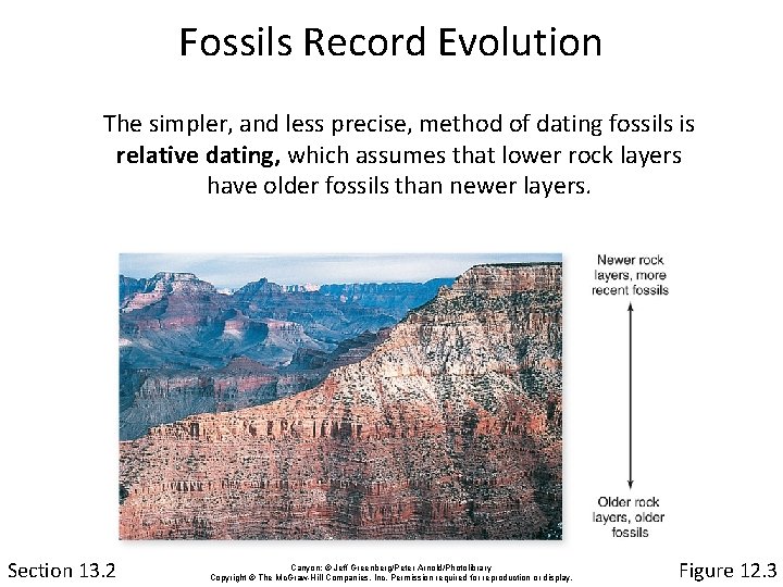 Fossils Record Evolution The simpler, and less precise, method of dating fossils is relative