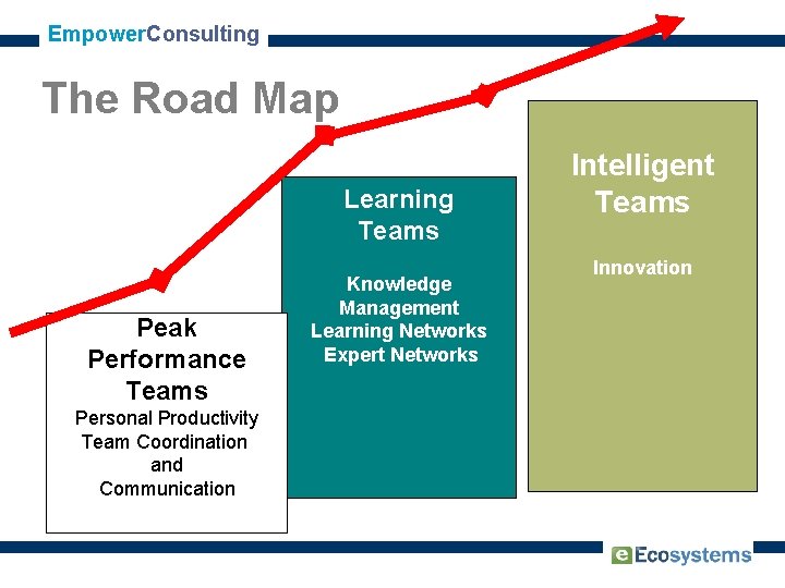 Empower. Consulting The Road Map Learning Teams Peak Performance Teams Personal Productivity Team Coordination
