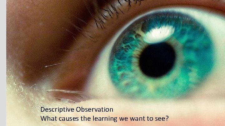 Descriptive Observation What causes the learning we want to see? 