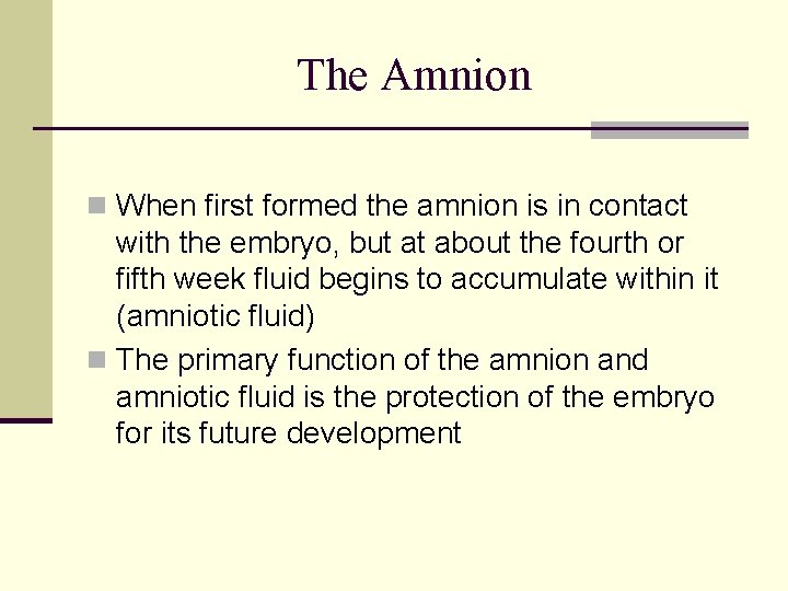 The Amnion n When first formed the amnion is in contact with the embryo,