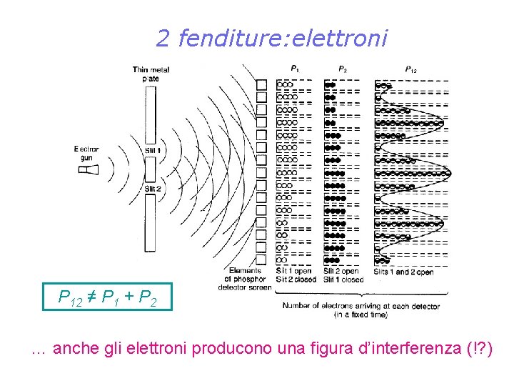 2 fenditure: elettroni P 12 ≠ P 1 + P 2 … anche gli