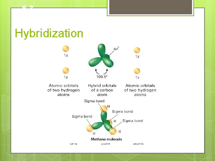 8. 3 Hybridization 