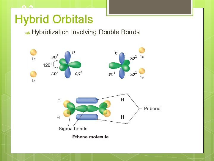 8. 3 Hybrid Orbitals Hybridization Involving Double Bonds 