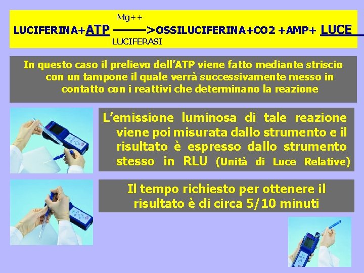 LUCIFERINA+ATP Mg++ ———>OSSILUCIFERINA+CO 2 +AMP+ LUCE LUCIFERASI In questo caso il prelievo dell’ATP viene LUCIFERINA+ATP Mg++ ———>OSSILUCIFERINA+CO 2 +AMP+ LUCE LUCIFERASI In questo caso il prelievo dell’ATP viene