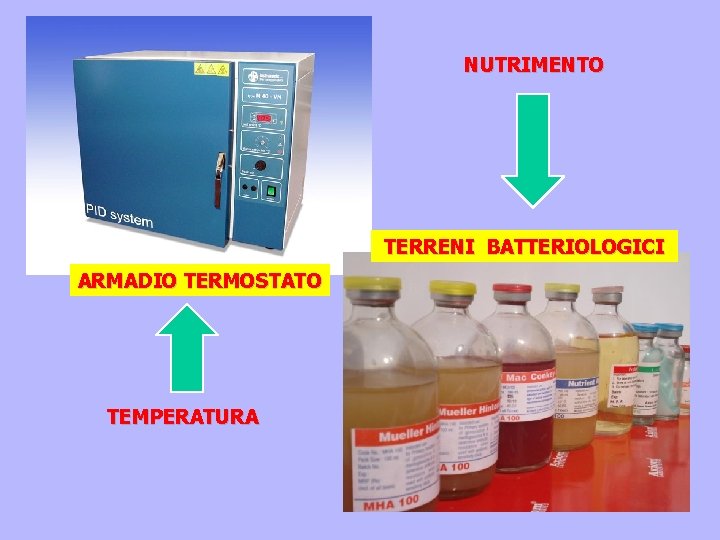 NUTRIMENTO TERRENI BATTERIOLOGICI ARMADIO TERMOSTATO TEMPERATURA NUTRIMENTO TERRENI BATTERIOLOGICI ARMADIO TERMOSTATO TEMPERATURA