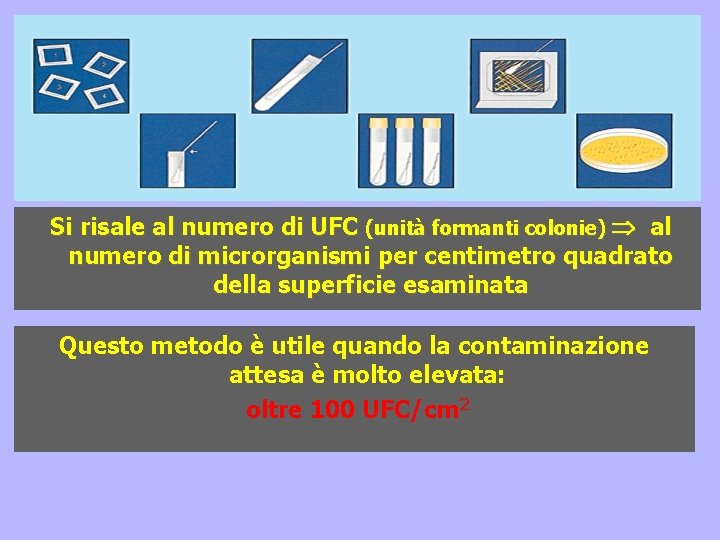 Si risale al numero di UFC (unità formanti colonie) al numero di microrganismi per Si risale al numero di UFC (unità formanti colonie) al numero di microrganismi per