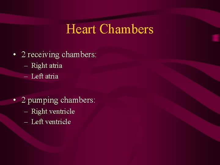 Heart Chambers • 2 receiving chambers: – Right atria – Left atria • 2