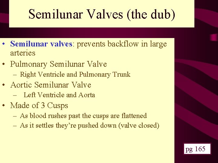 Semilunar Valves (the dub) • Semilunar valves: prevents backflow in large arteries • Pulmonary