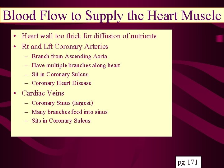 Blood Flow to Supply the Heart Muscle • Heart wall too thick for diffusion