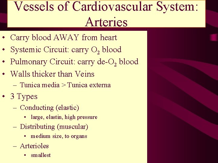 Vessels of Cardiovascular System: Arteries • • Carry blood AWAY from heart Systemic Circuit: