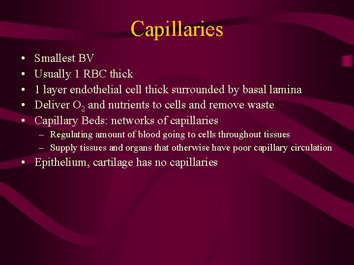 Capillaries • • • Smallest BV Usually 1 RBC thick 1 layer endothelial cell