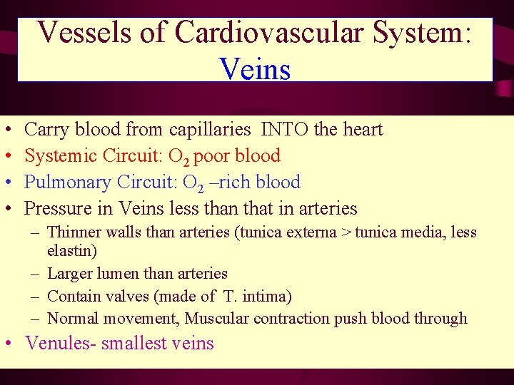 Vessels of Cardiovascular System: Veins • • Carry blood from capillaries INTO the heart