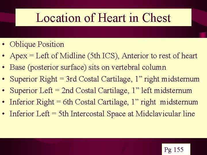 Location of Heart in Chest • • Oblique Position Apex = Left of Midline