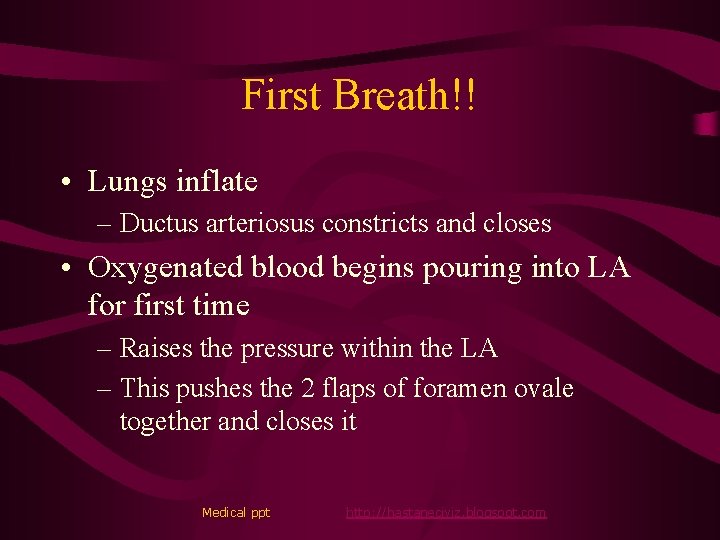 First Breath!! • Lungs inflate – Ductus arteriosus constricts and closes • Oxygenated blood