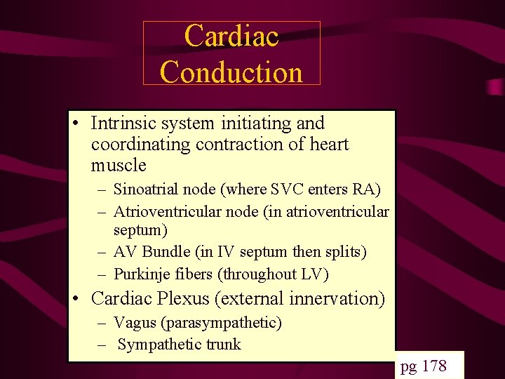 Cardiac Conduction • Intrinsic system initiating and coordinating contraction of heart muscle – Sinoatrial