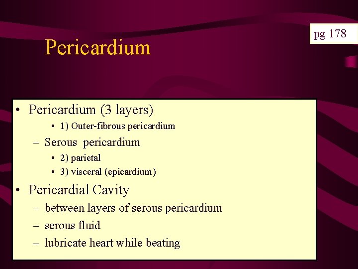 Pericardium • Pericardium (3 layers) • 1) Outer-fibrous pericardium – Serous pericardium • 2)