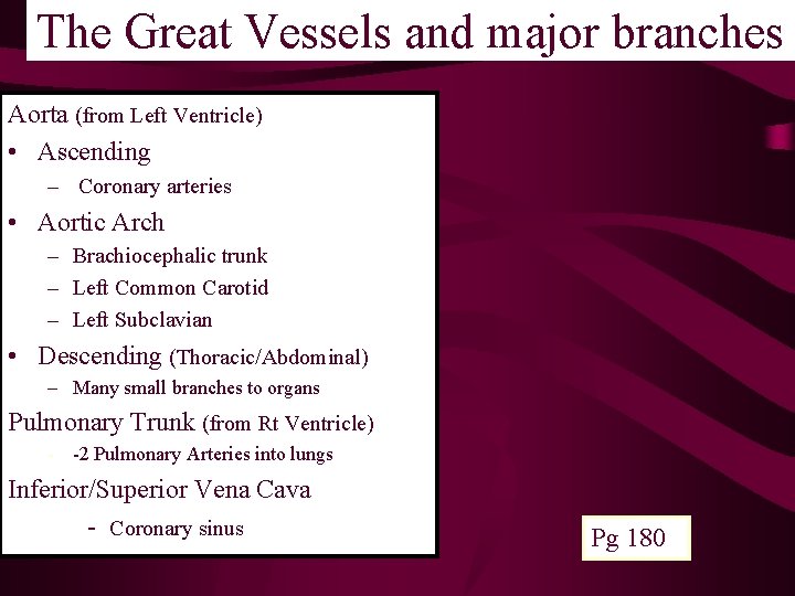 The Great Vessels and major branches Aorta (from Left Ventricle) • Ascending – Coronary