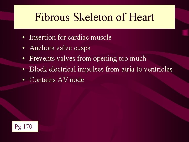 Fibrous Skeleton of Heart • • • Insertion for cardiac muscle Anchors valve cusps