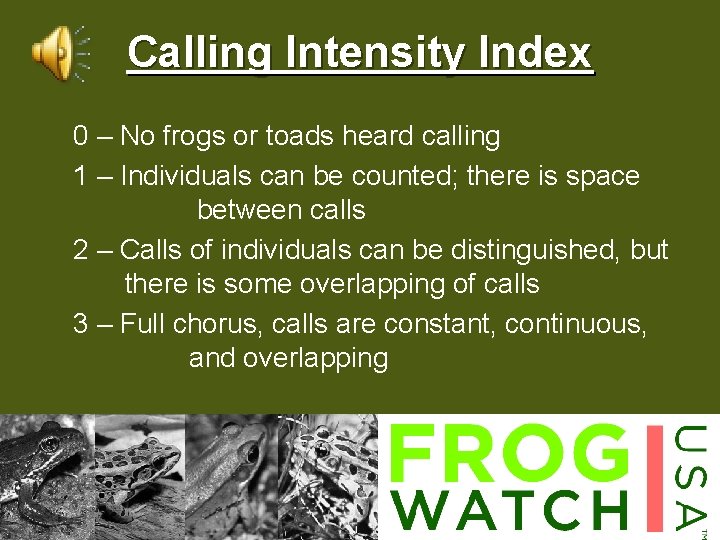 Calling Intensity Index 0 – No frogs or toads heard calling 1 – Individuals