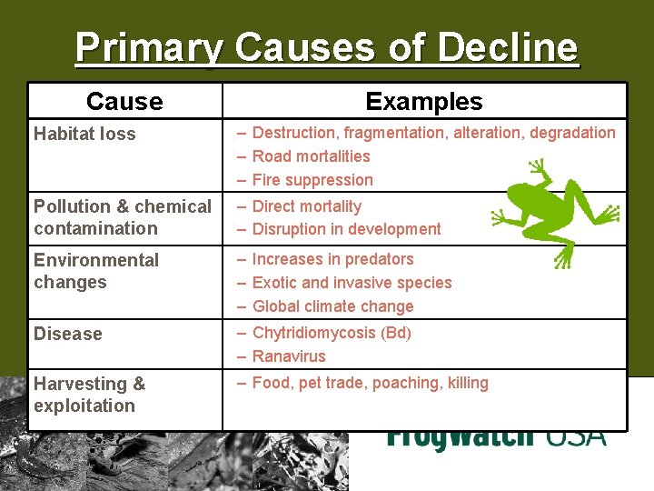 Primary Causes of Decline Cause Examples Habitat loss – Destruction, fragmentation, alteration, degradation –