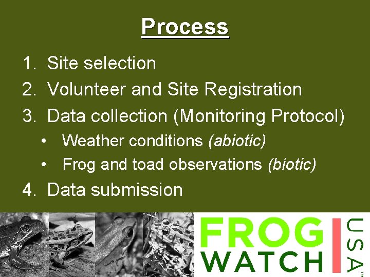 Process 1. Site selection 2. Volunteer and Site Registration 3. Data collection (Monitoring Protocol)