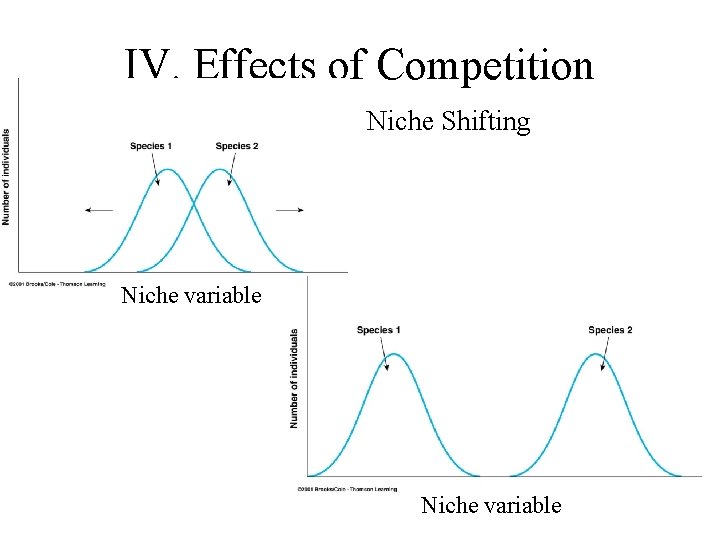 IV. Effects of Competition Niche Shifting Niche variable 