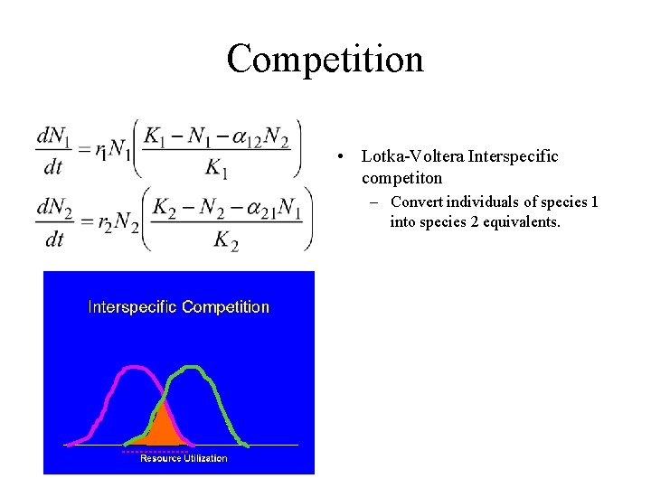 Competition • Lotka-Voltera Interspecific competiton – Convert individuals of species 1 into species 2