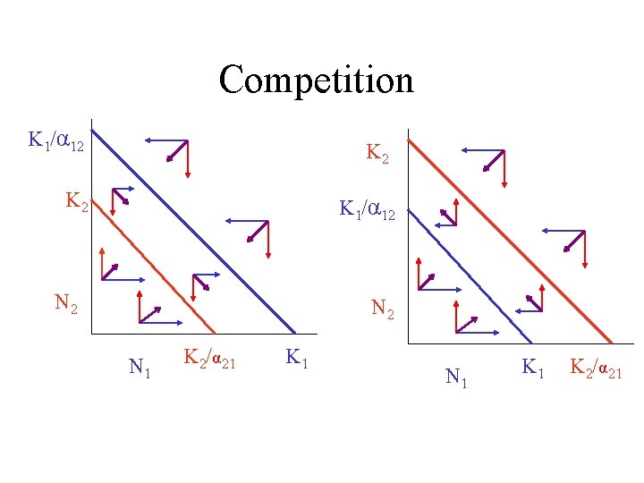 Competition K 1/α 12 K 2 K 1/α 12 N 2 N 1 K