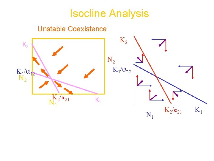 Isocline Analysis Unstable Coexistence K 2 N 2 K 1/α 12 N 2 K