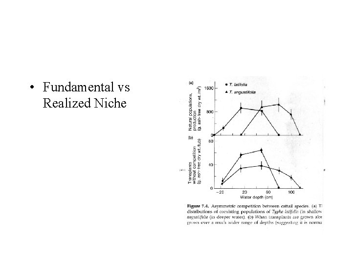  • Fundamental vs Realized Niche 