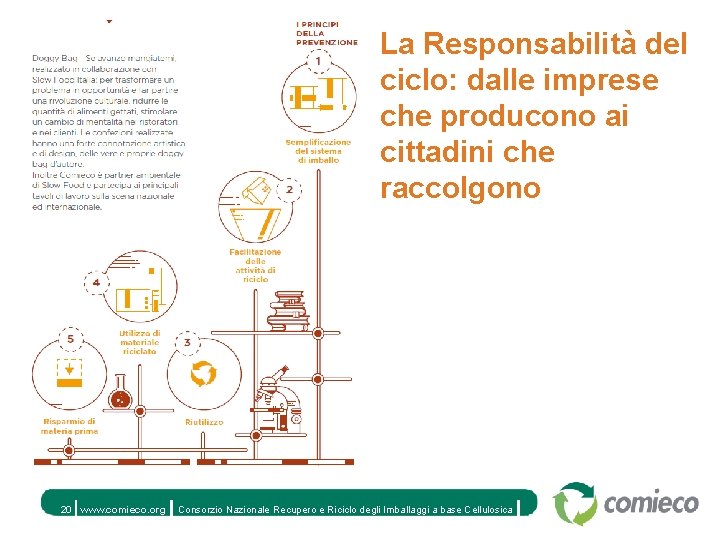 La Responsabilità del ciclo: dalle imprese che producono ai cittadini che raccolgono 20 www.