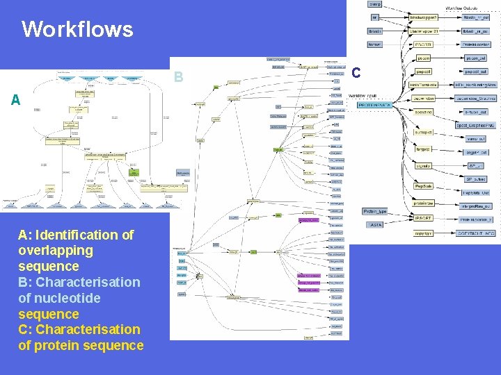 Workflows B C A A: Identification of overlapping sequence B: Characterisation of nucleotide sequence