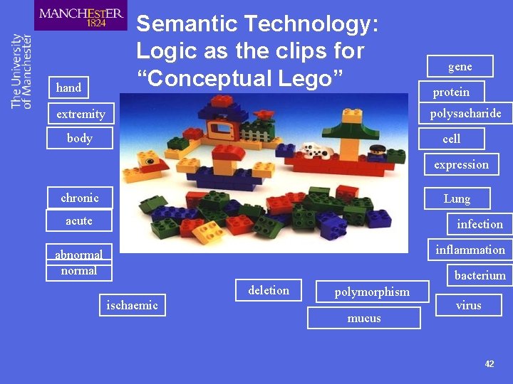 hand Semantic Technology: Logic as the clips for “Conceptual Lego” gene protein polysacharide extremity