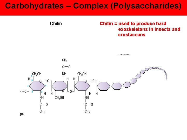Carbohydrates – Complex (Polysaccharides) Chitin = used to produce hard exoskeletons in insects and