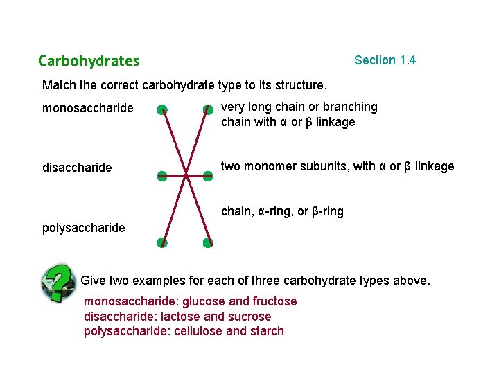 Carbohydrates Section 1. 4 Match the correct carbohydrate type to its structure. monosaccharide very
