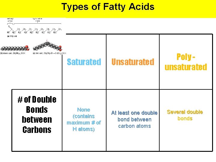 Types of Fatty Acids # of Double Bonds between Carbons Saturated Unsaturated None (contains