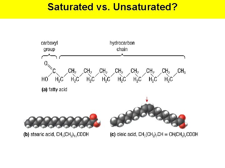 Saturated vs. Unsaturated? 