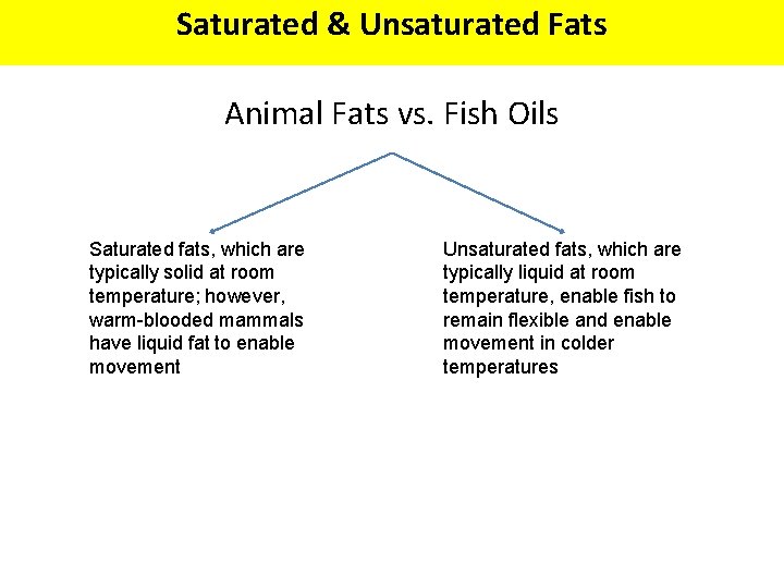 Saturated & Unsaturated Fats Animal Fats vs. Fish Oils Saturated fats, which are typically
