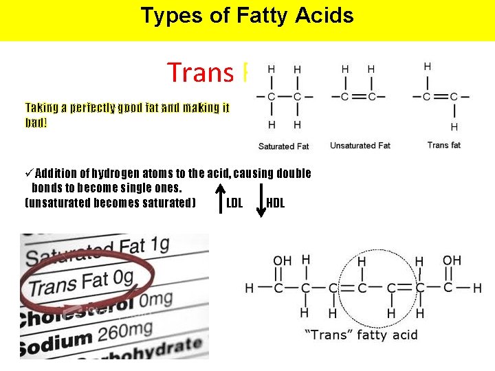 Types of Fatty Acids Trans Fat Taking a perfectly good fat and making it