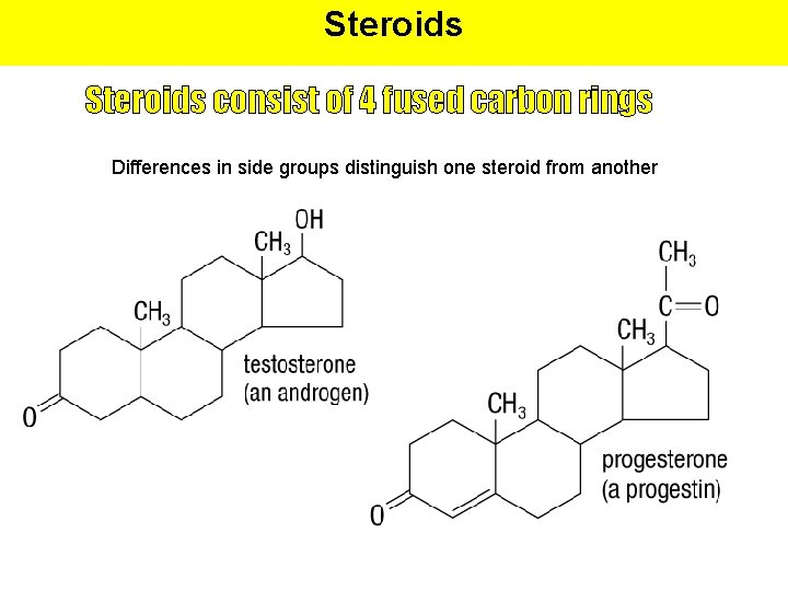 Steroids consist of 4 fused carbon rings Differences in side groups distinguish one steroid